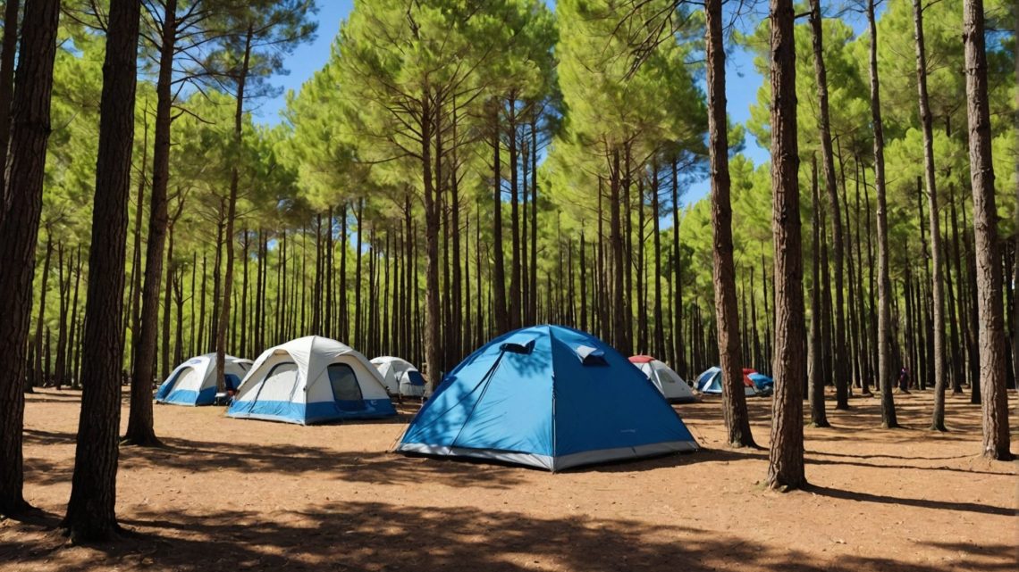 Découvrez le meilleur camping à perpignan pour vos vacances